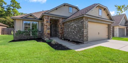 14344 N Summerchase Circle, Willis