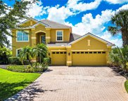 15500 Pricklegrass  Court, Alva image