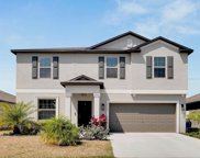 12922 Wildflower Meadow Drive, Riverview image