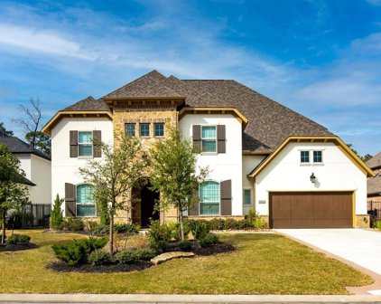 79 N Curly Willow Circle, Tomball