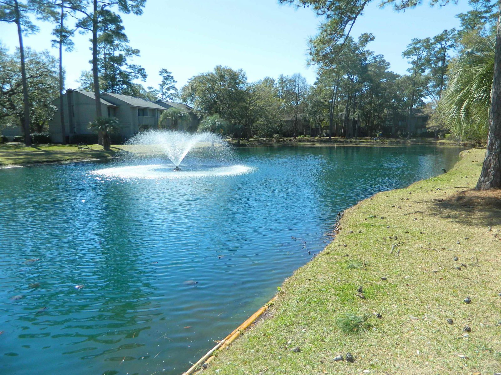 MLS 2205312 SALT MARSH COVE 435 Salt Marsh Circle Unit 19D, Pawleys