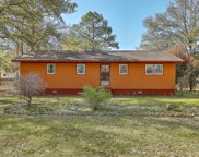 175 Fannie Drive, Summerville image