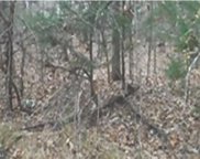 21051 Big Woods Rd W, Dickerson image