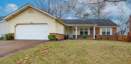 1316 Westbrooke Terrace  Drive, Ballwin