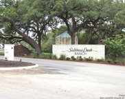 TBD LOT#67 Sabinas Springs Rd, Boerne image