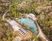 10360 Alabama Highway 227, Guntersville image