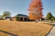 258 De Jan Road, Madison image