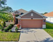 10917 Observatory Way, Tampa image