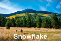 Big Land, Big History - Snowflake Homes for Sale
