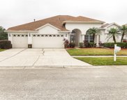 18447 Eastwyck Drive, Tampa image