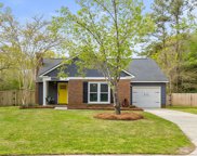 105 Mill Pond Court, Summerville image