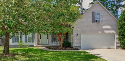 114 Southern Magnolia Court, Hampstead
