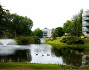 12 LEDGEWOOD HILLS DRIVE Unit #304, Nashua image