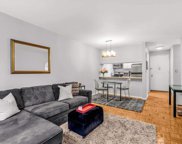 300 Albany  Street Unit 3K, New York image