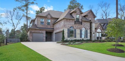 59 Blue Norther Drive, Tomball
