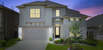 3515 Tiber River Court, Katy