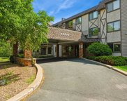 1304 W Medicine Lake Drive Unit #102, Plymouth image
