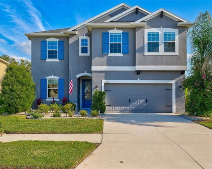 33184 Whisper Pointe Drive, Wesley Chapel
