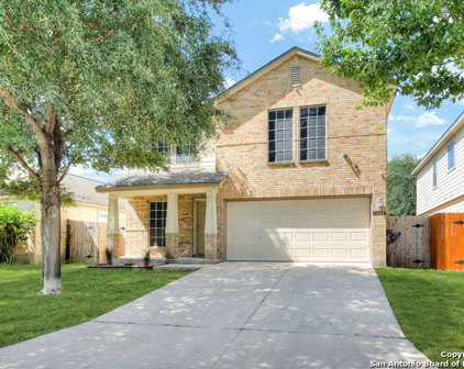 10334 Roseangel Ln, Helotes