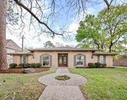 111 Blue Willow Drive, Houston image