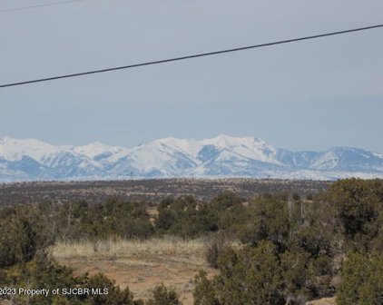 X Hood Mesa, Farmington