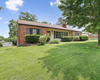 8808 Watson Woods  Court, St Louis