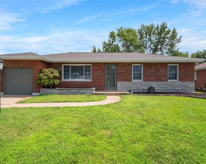 10718 Mallory  Drive, St Louis