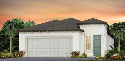5117 Caravel Point, Land O' Lakes
