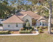 178 SW RED MAPLE WAY, Lake City image