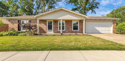 4938 Theiss Meadows  Drive, St Louis