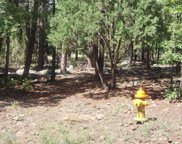 711 Pine Creek Drive, Lakeside image