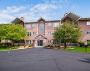 11535 Settlers Pond Way Unit #1C, Orland Park image