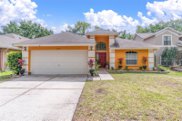 5654 Paddock Trail Drive, Tampa image