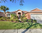 11705 Holly Creek Drive, Riverview image