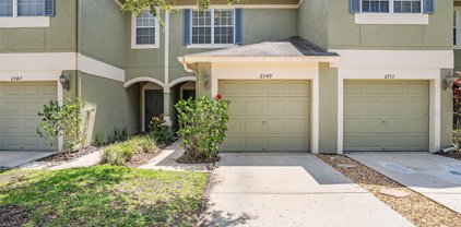 2749 Conch Hollow Drive, Brandon