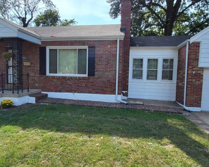 9113 Darlene Drive, Affton
