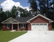 141 Old English Dr., Galivants Ferry image
