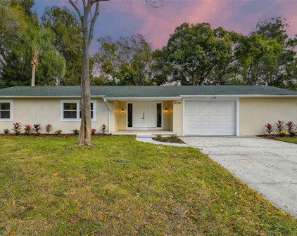 1731 Dorchester Road, Clearwater