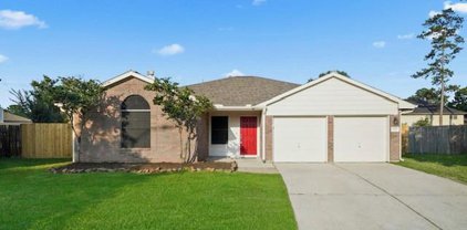 4039 Mossy Grove Court, Humble
