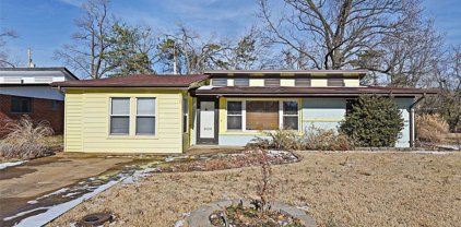 7915 Glenside  Place, University City