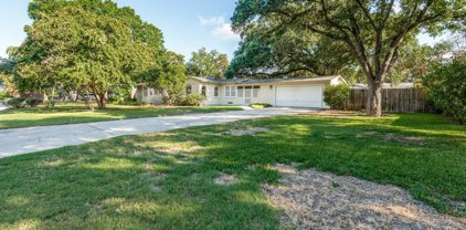 251 Brightwood Pl, San Antonio