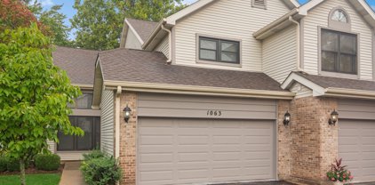1063 N Auburn Woods Drive Unit #1063, Palatine