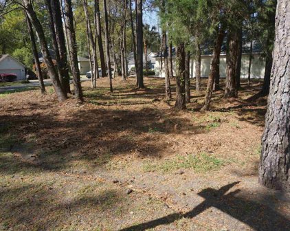 Lot 59 Redwing Ct., Pawleys Island