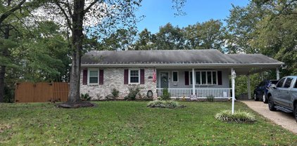 9906 Greenview Ln, Manassas
