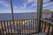 1441 Old Chapin Road Unit #632, Lexington image