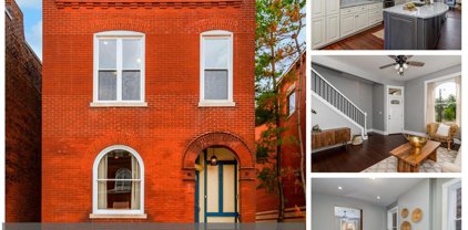3117 Iowa  Avenue, St Louis