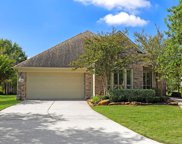 19403 Adkins Forest Drive, Spring image