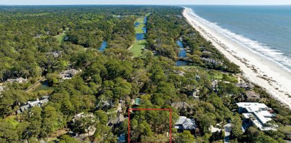 15 Surf Scoter, Hilton Head Island