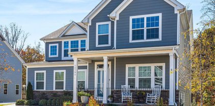 14306 Sunnyhill Grove  Road, Davidson