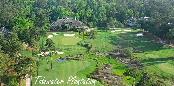 Tidewater Plantation Homes for Sale